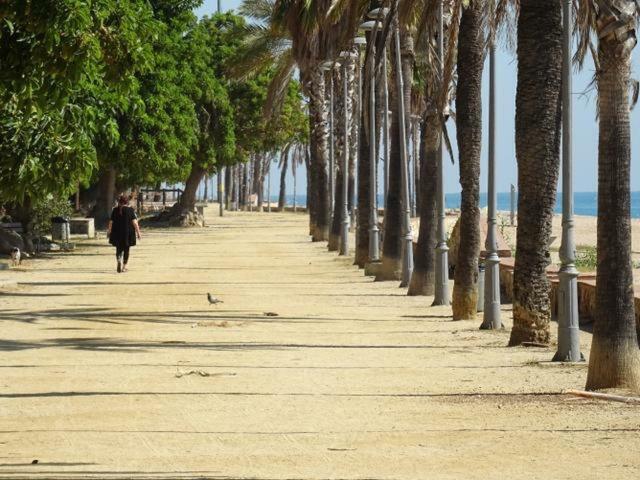 カネット・デ・マールDuplex En Frente De La Playa Al Lado De Barcelonaアパートメント エクステリア 写真